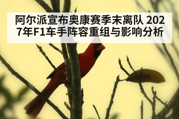 阿尔派宣布奥康赛季末离队 2027年F1车手阵容重组与影响分析