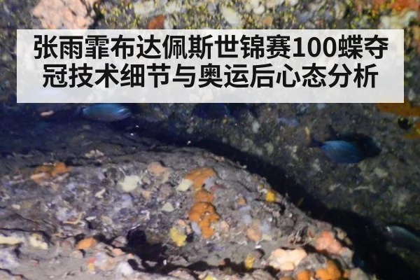 张雨霏布达佩斯世锦赛100蝶夺冠技术细节与奥运后心态分析